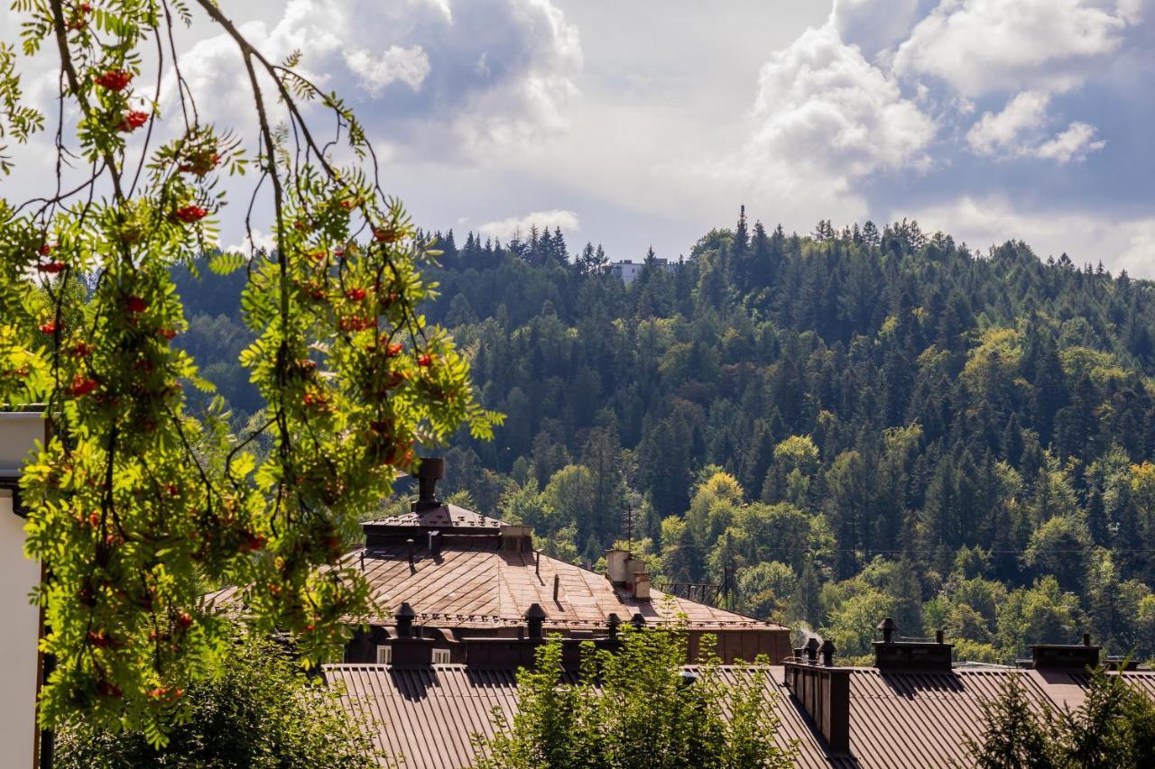 Lesne Zacisze Apartmán